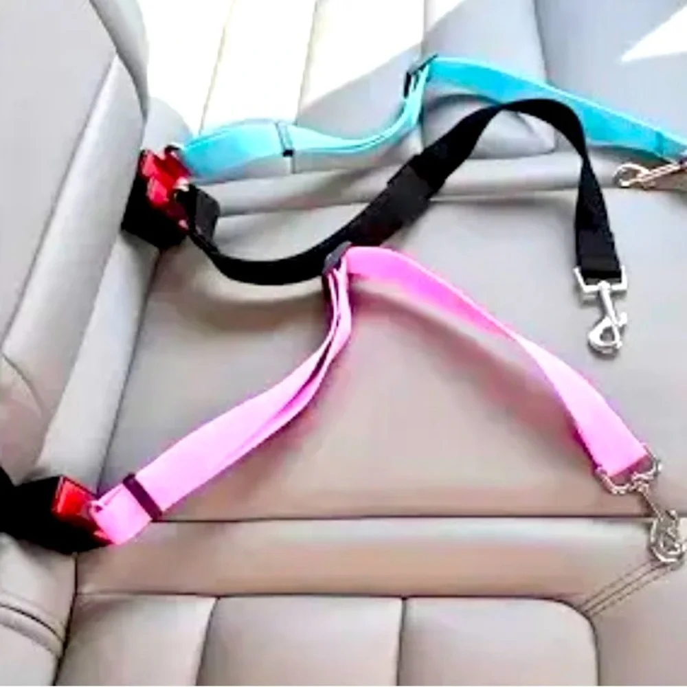 Dog and cat car seat belts
